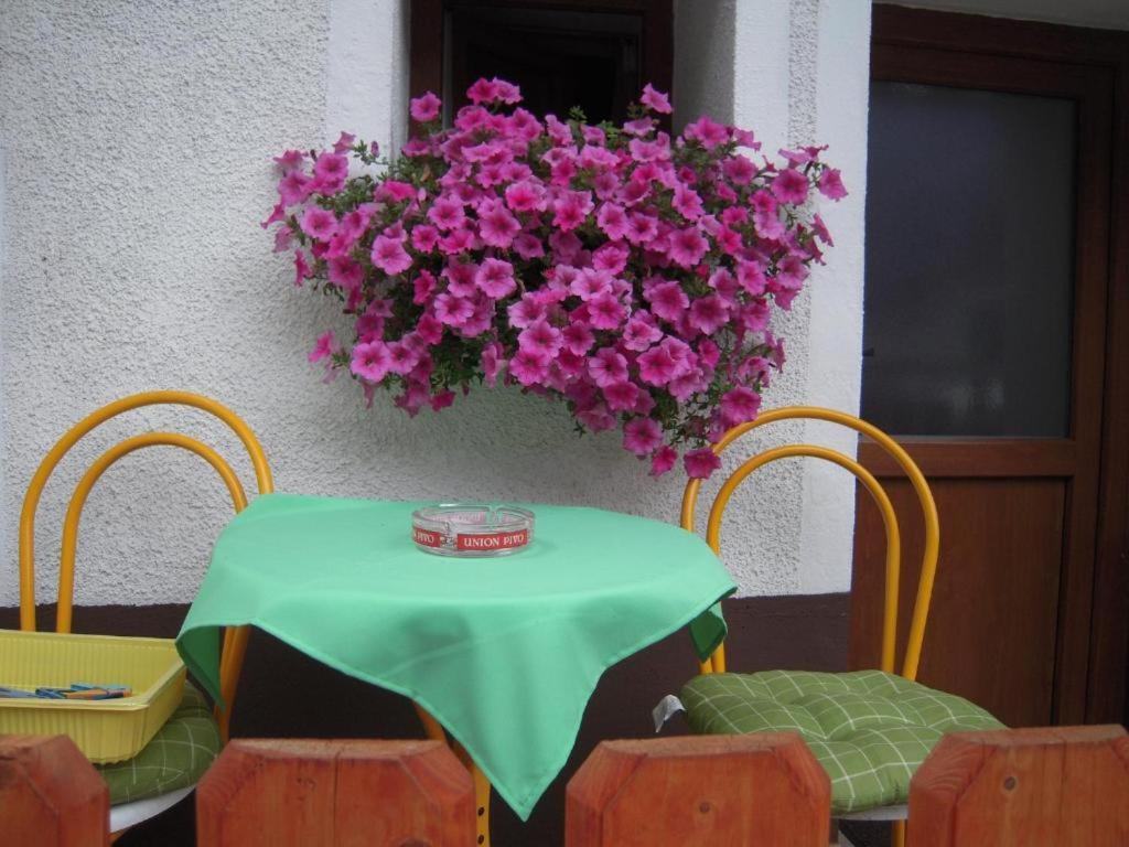 Apartmaji In Sobe Cuder Soča Esterno foto