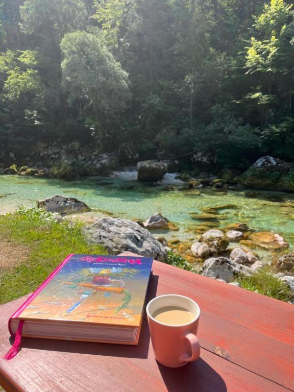 Apartmaji In Sobe Cuder Soča Esterno foto